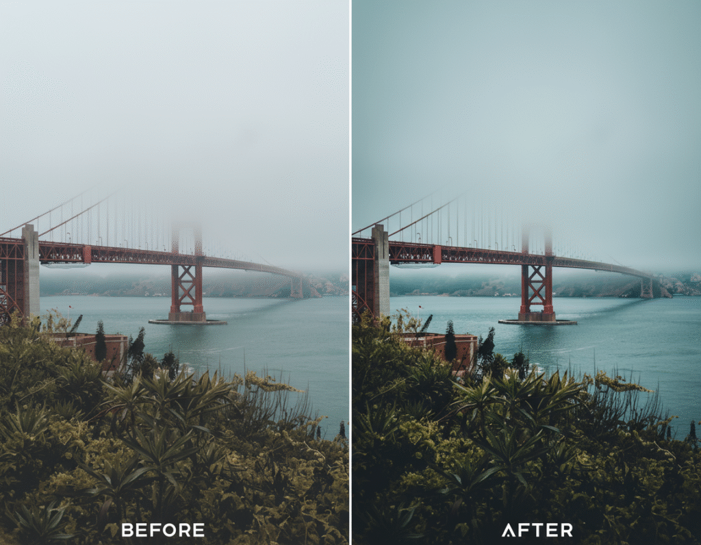Lightroom LUTs & Photo Video Presets